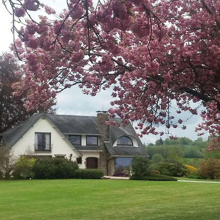 Elegant Villa In Stavelot With Fitness Playroom Exterior foto
