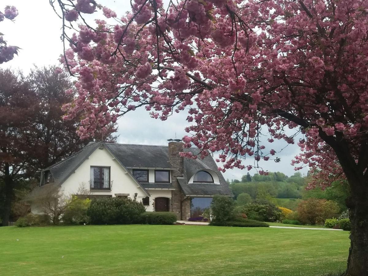 Elegant Villa In Stavelot With Fitness Playroom Exterior foto